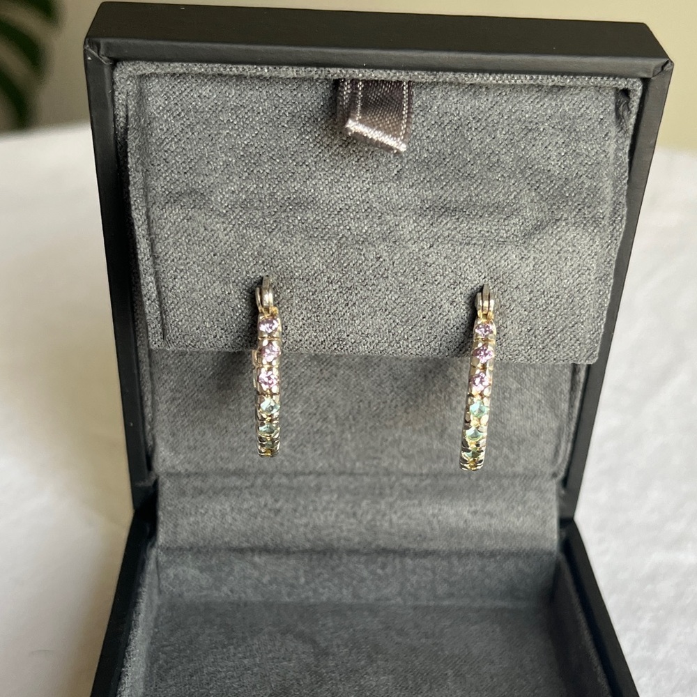 Sterling silver rainbow hoops